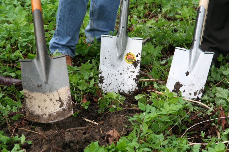 pepiniere-LA CADIERE D AZUR-min_work-lawn-flower-tool-green-backyard-1103633-pxhere.com